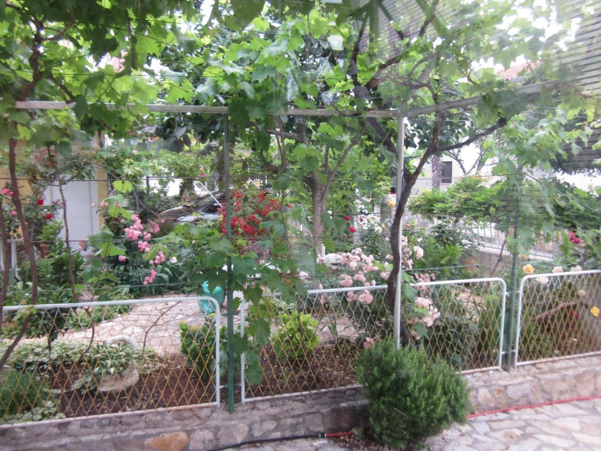 Gaestehaus Mimesis 沃迪切 外观 照片